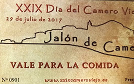 Vista de Jalón desde lo alto